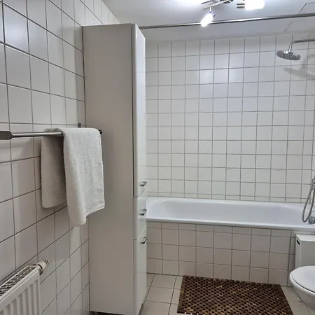 Luxury Penthouse 15 Min To Wiesn With Parking, Balcony Apartament